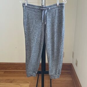 Express Heathered Gray Crop Sweatpants